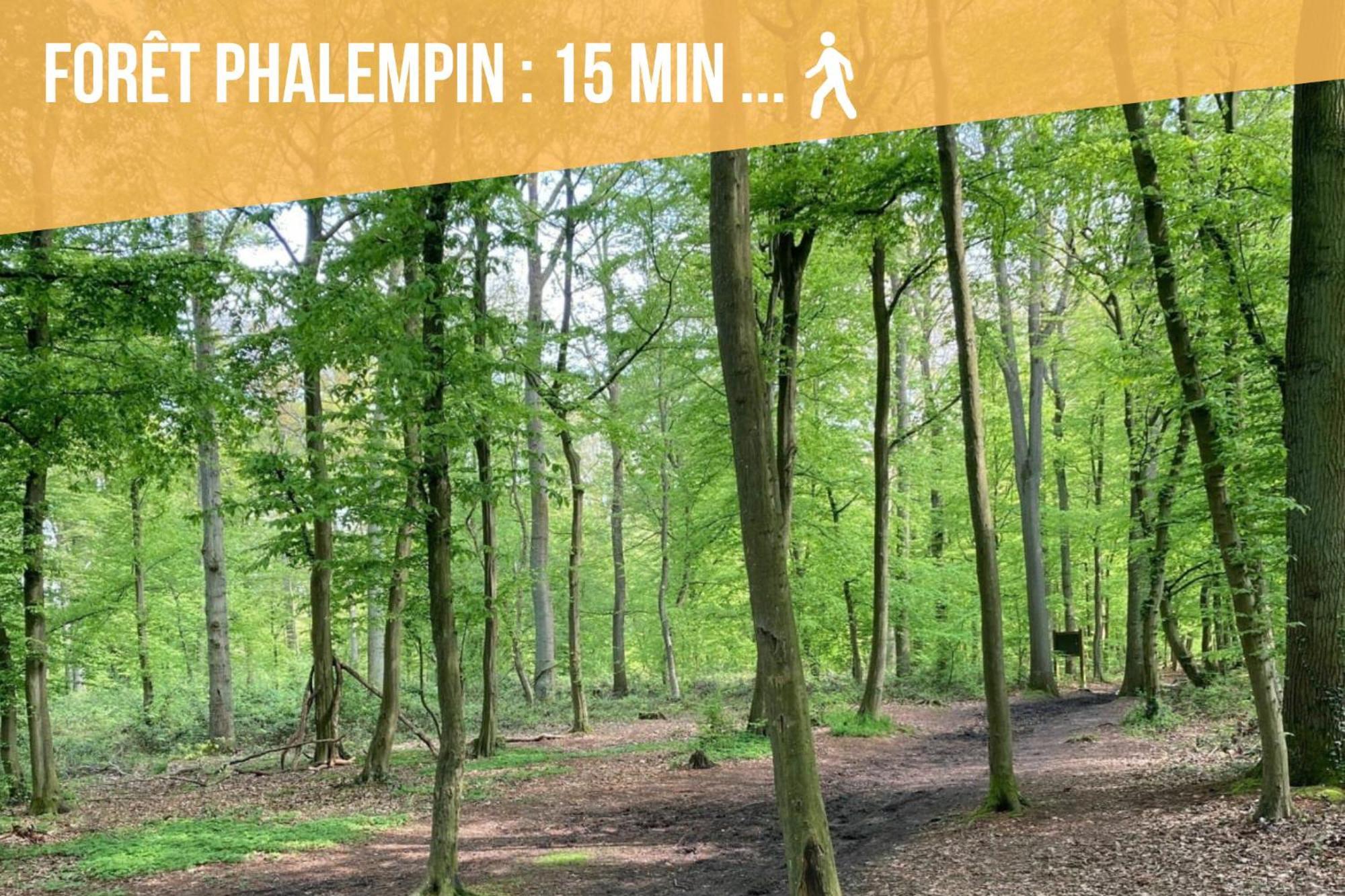 Gite Le Duplex - 5Min De La Gare Vers Lille-Lens-Arras Phalempin 外观 照片